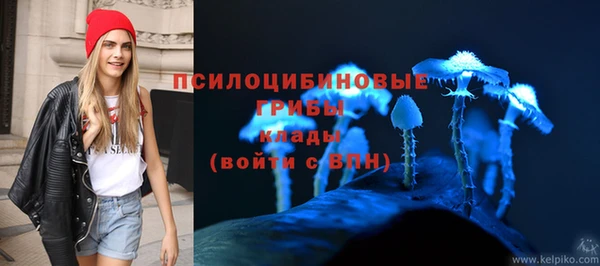 крисы Балахна