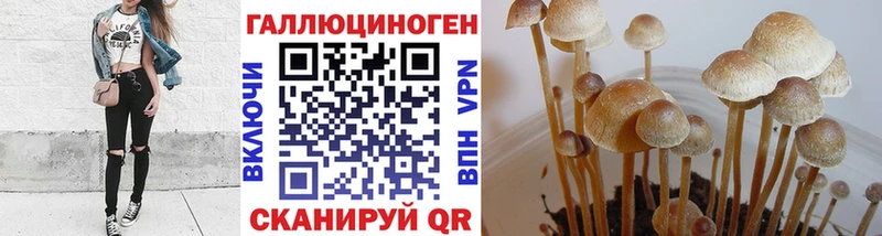 Псилоцибиновые грибы MAGIC MUSHROOMS  ОМГ ОМГ ссылки  Юрьев-Польский 